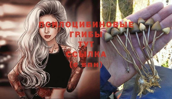 гашиш Алексин