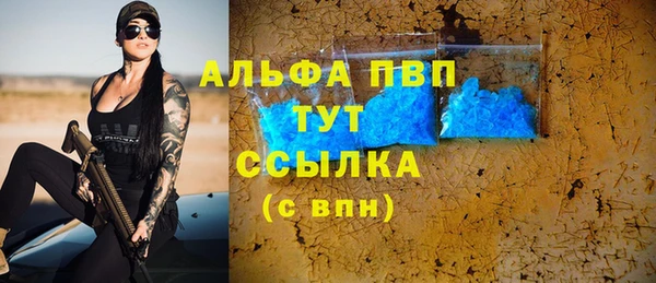 крисы Магадан