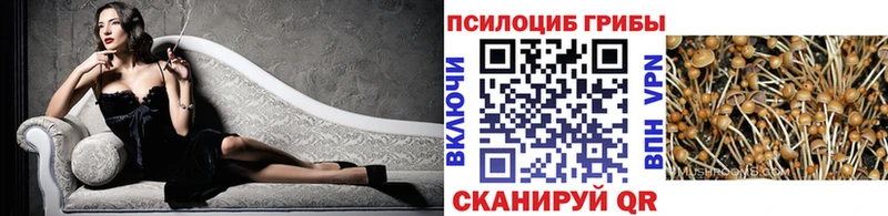 наркотики  Микунь  Псилоцибиновые грибы мицелий 