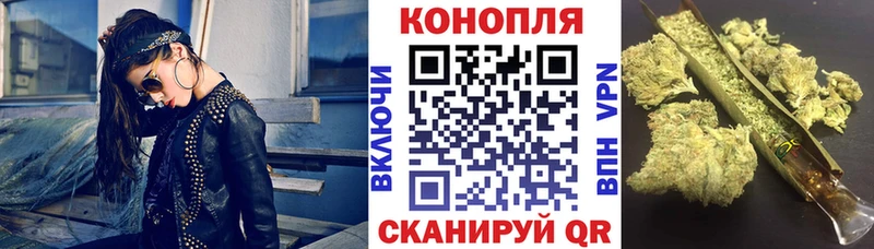 даркнет наркотические препараты  Микунь  Конопля сатива 
